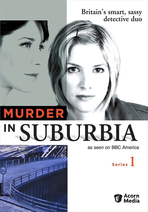 Affiche de Saison 1