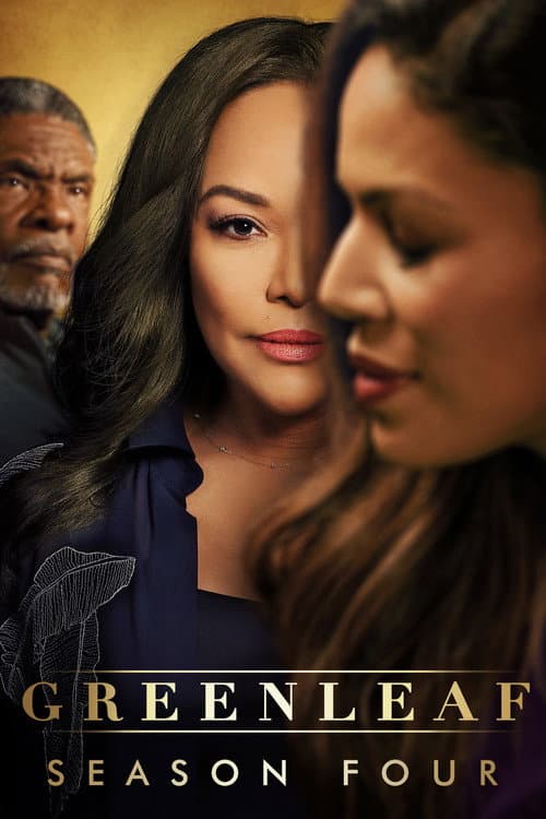Affiche de Saison 4