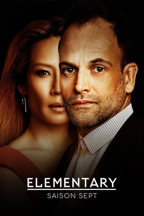 Affiche de Saison 7