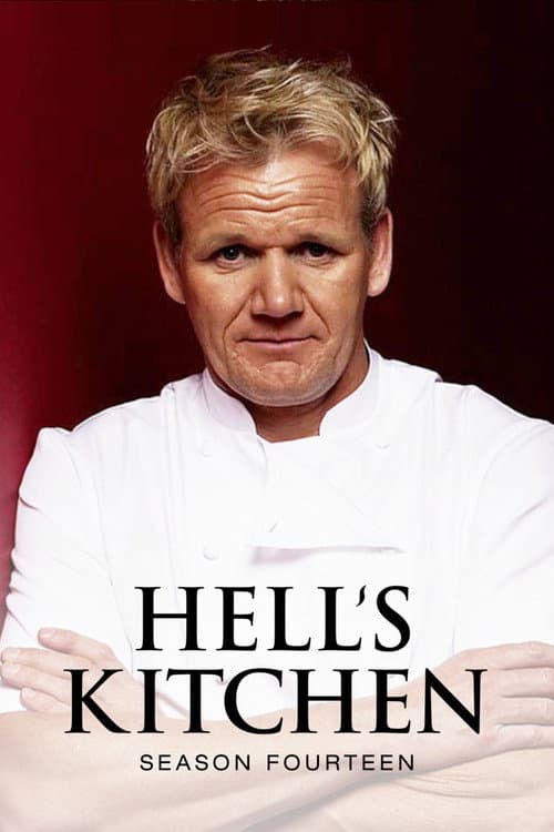 Affiche de Saison 14