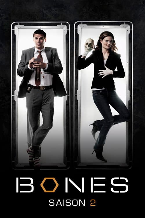 Affiche de Saison 2