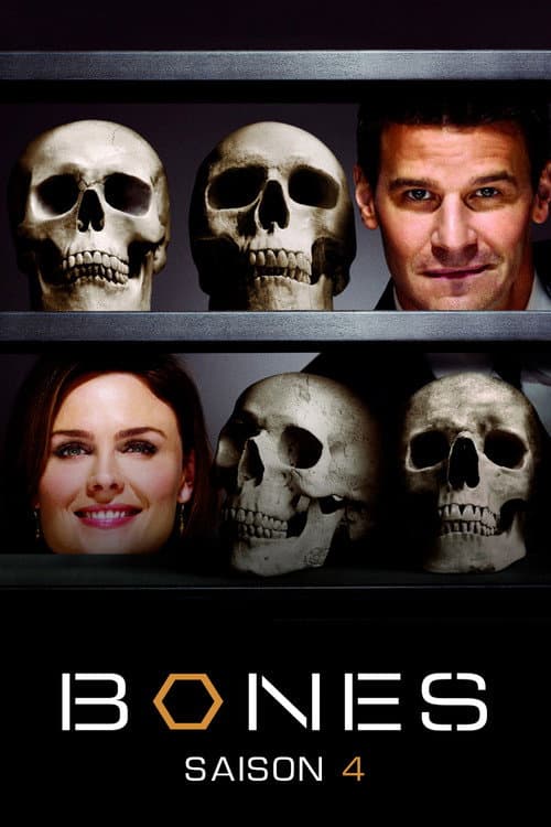 Affiche de Saison 4