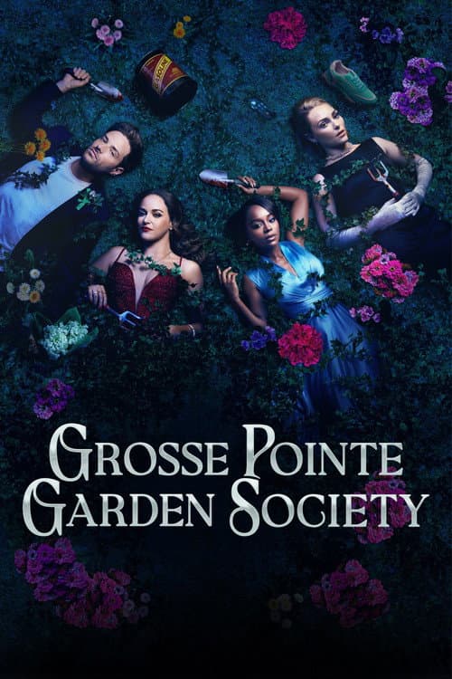 Affiche de Saison 1