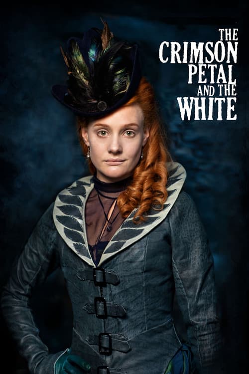 Affiche de Saison 1