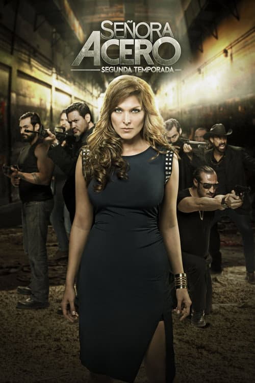 Affiche de Saison 2