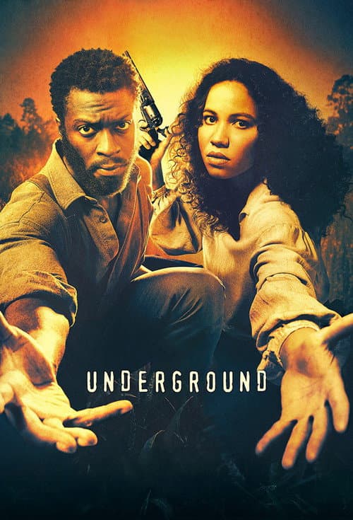Affiche de Saison 2