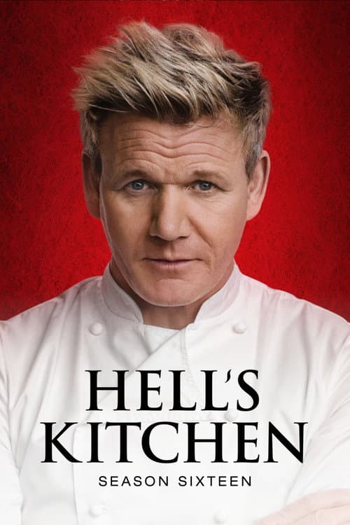 Affiche de Saison 16