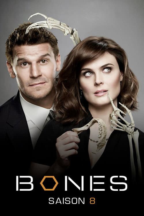 Affiche de Saison 8