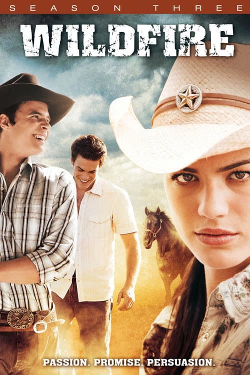 Affiche de Saison 3