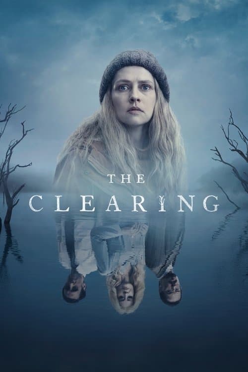 Affiche de Saison 1