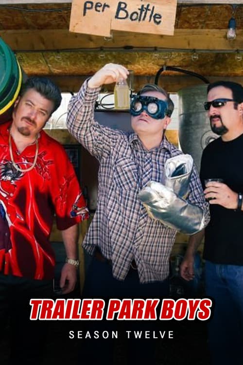 Affiche de Saison 12