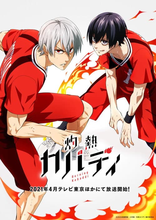 Affiche de Saison 1