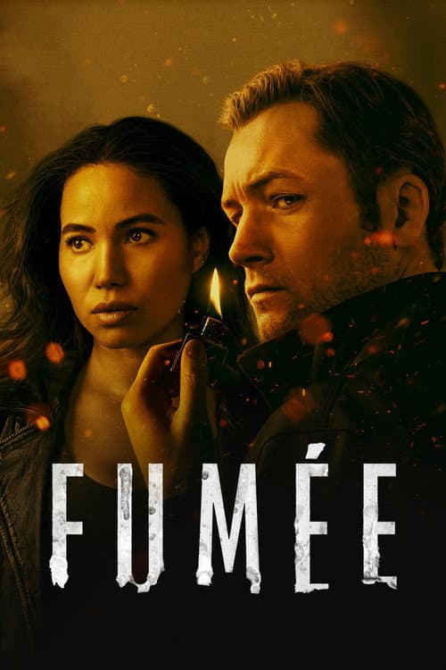Affiche de Mini-série