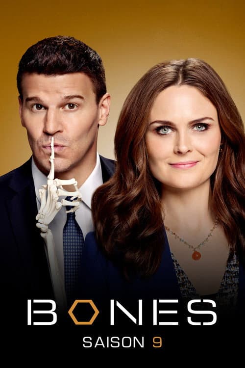 Affiche de Saison 9