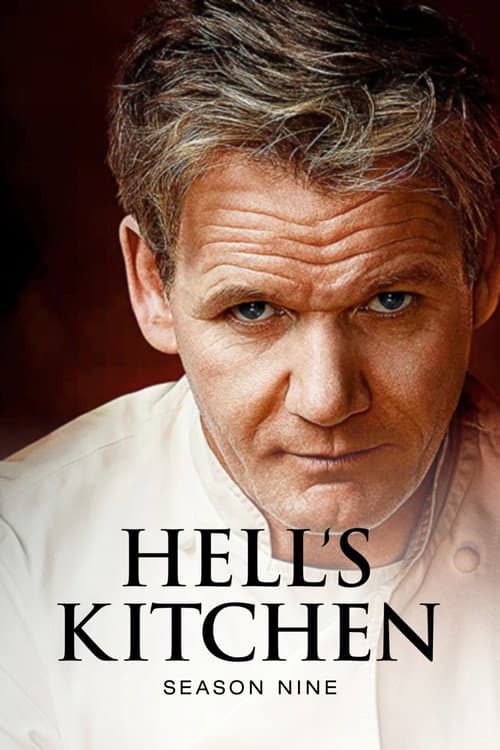 Affiche de Saison 9