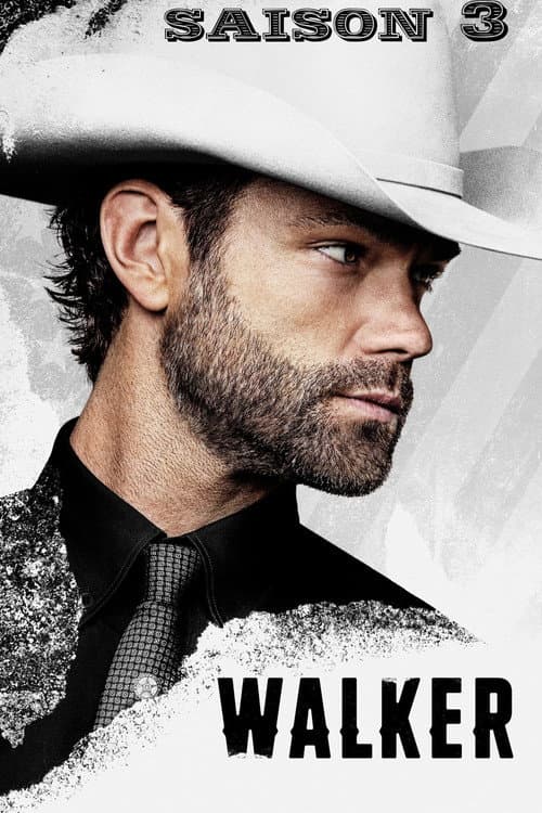 Affiche de Saison 3