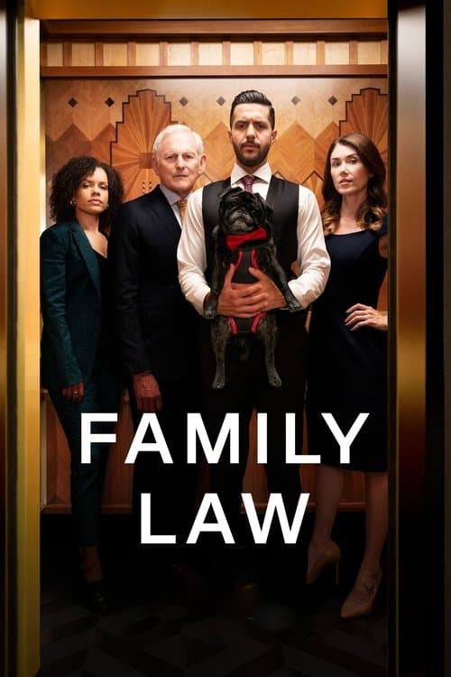 Affiche de Saison 4
