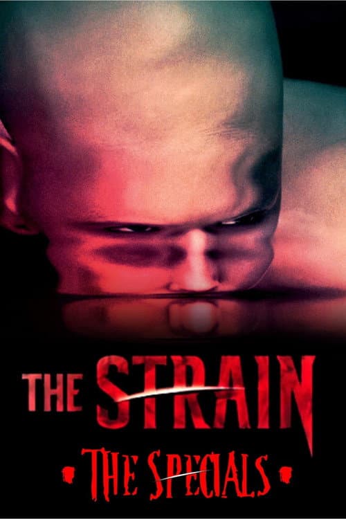 Affiche de Épisodes spéciaux