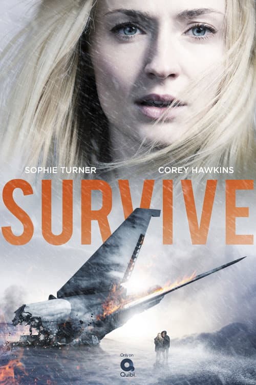 Affiche de Saison 1