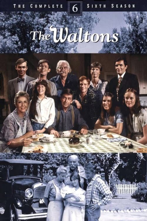 Affiche de Saison 6