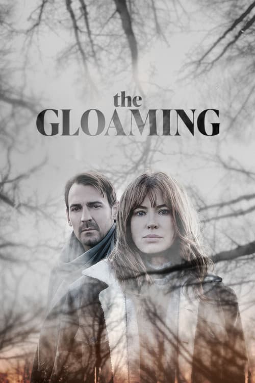 Affiche de Saison 1