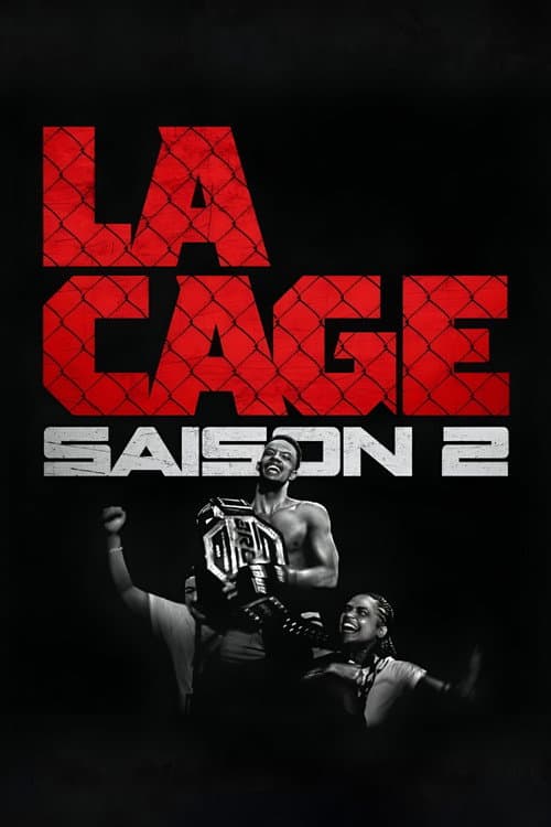 Affiche de Saison 2