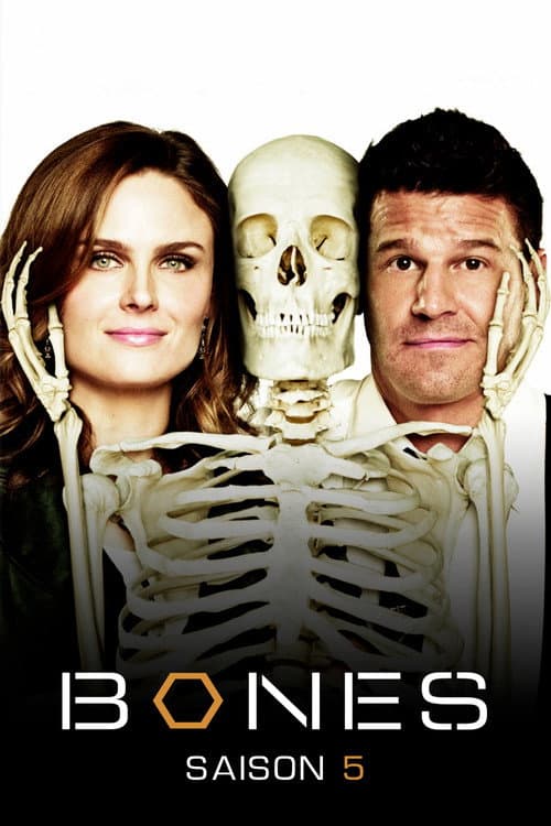 Affiche de Saison 5