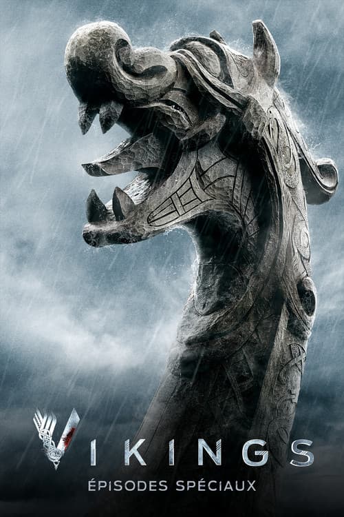 Affiche de Épisodes spéciaux