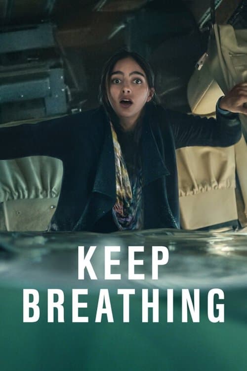 Affiche de Mini-série
