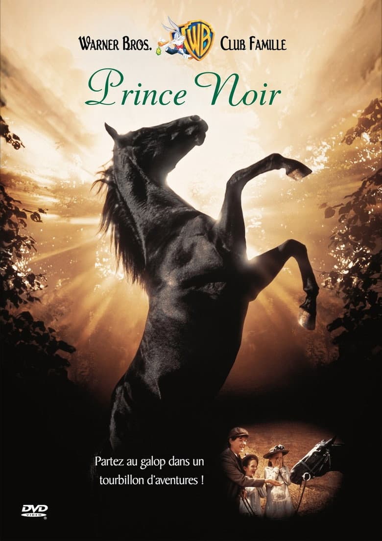 Affiche de Prince noir