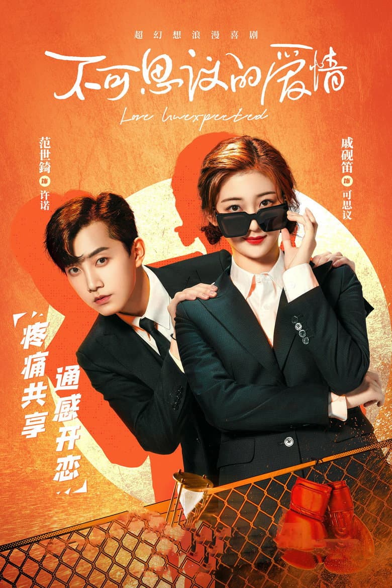 Affiche de 不可思议的爱情