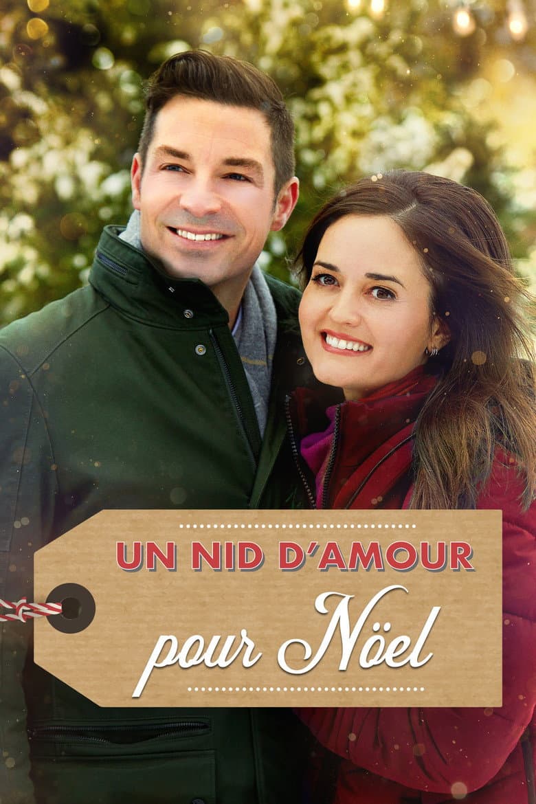 Affiche de Un nid d'amour pour Noël