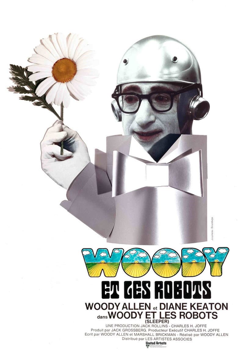 Affiche de Woody et les robots