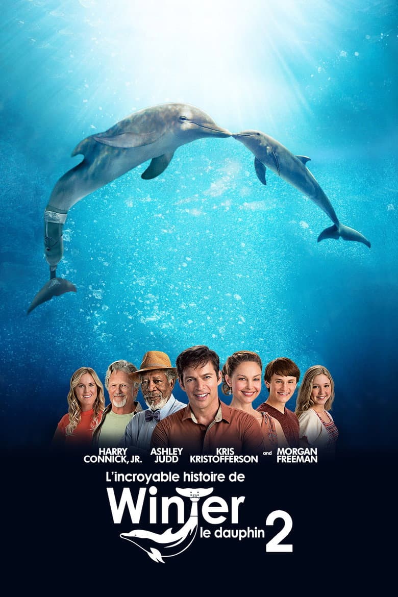 Affiche de L'Incroyable Histoire de Winter le dauphin 2