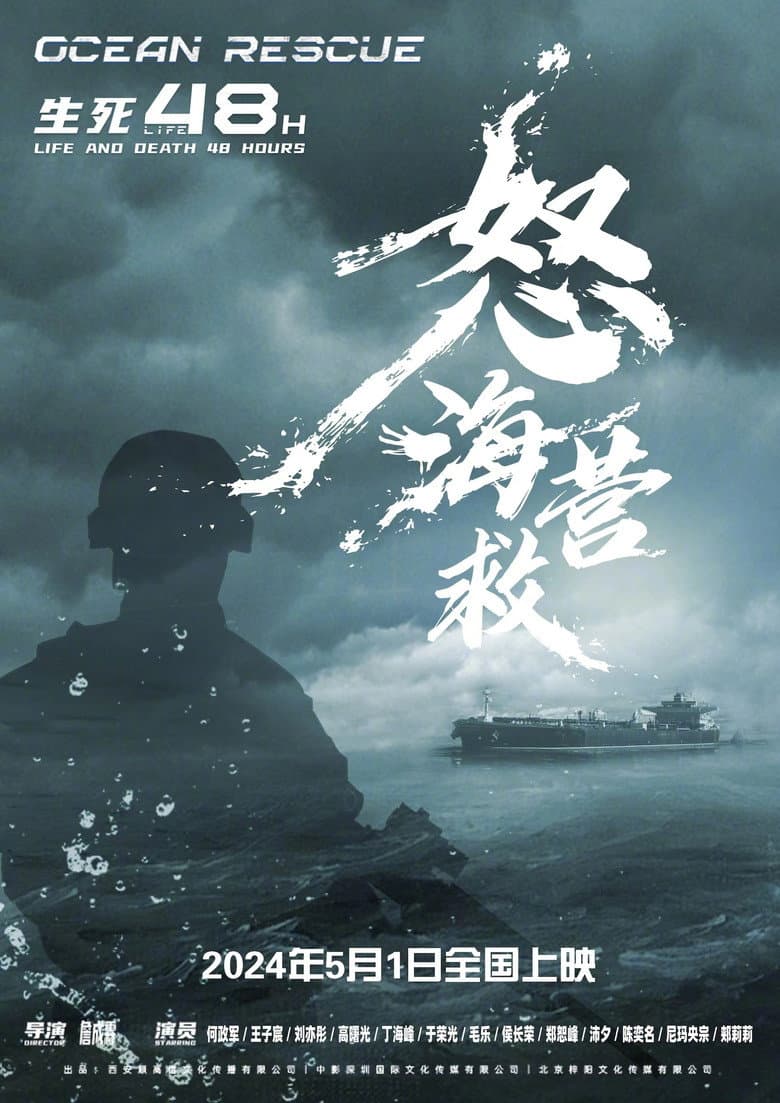 Affiche de 怒海营救