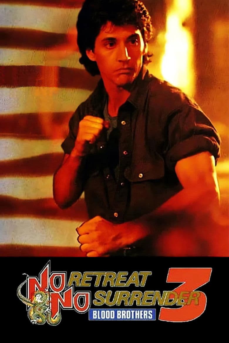 Affiche de Karaté Tiger 3 Frères de sang
