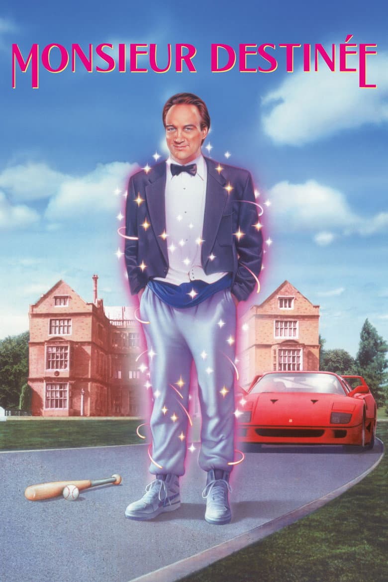 Affiche de Monsieur Destinée