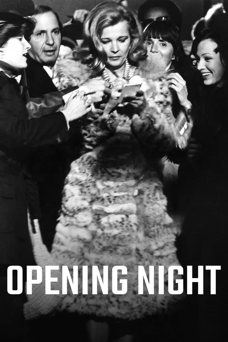 Affiche de Opening Night
