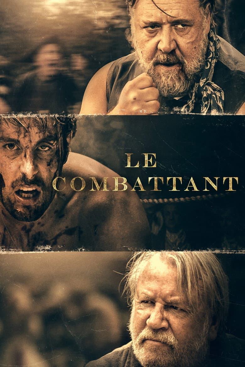 Affiche de Le Combattant