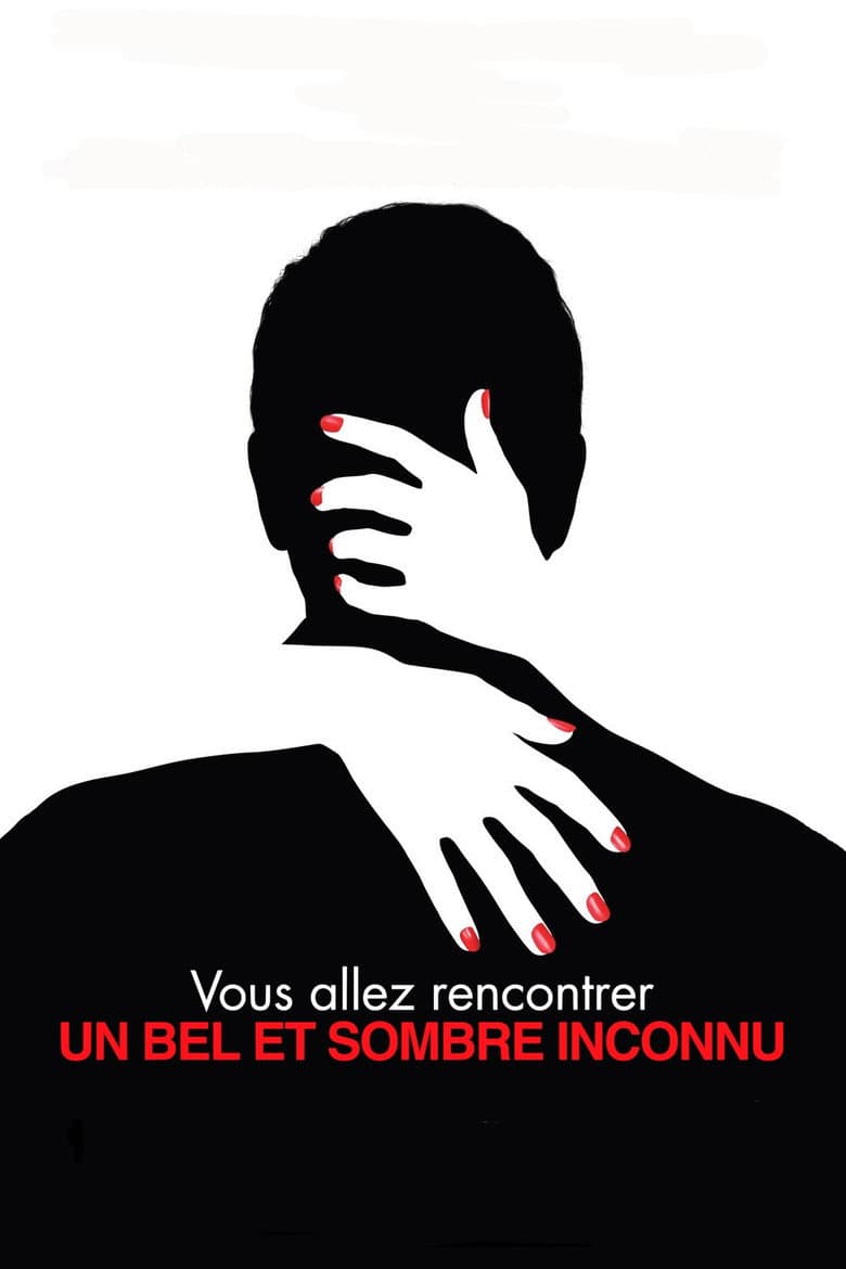 Affiche de Vous allez rencontrer un bel et sombre inconnu