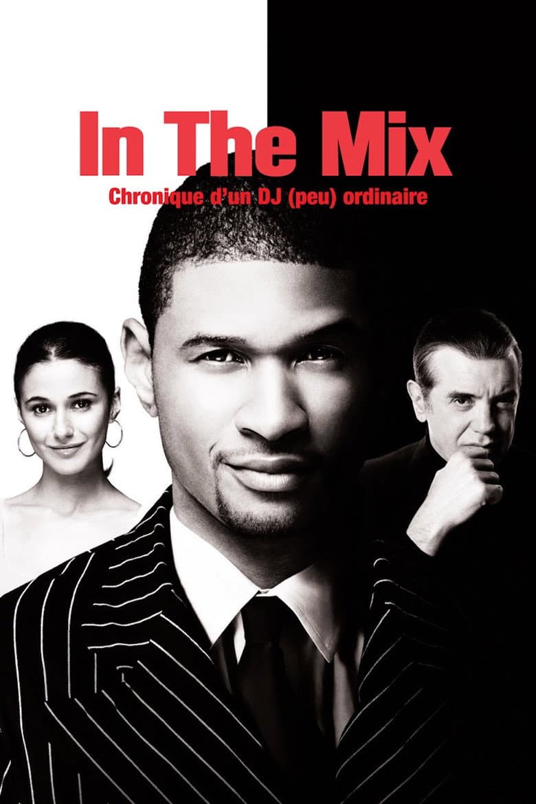Affiche de In the Mix
