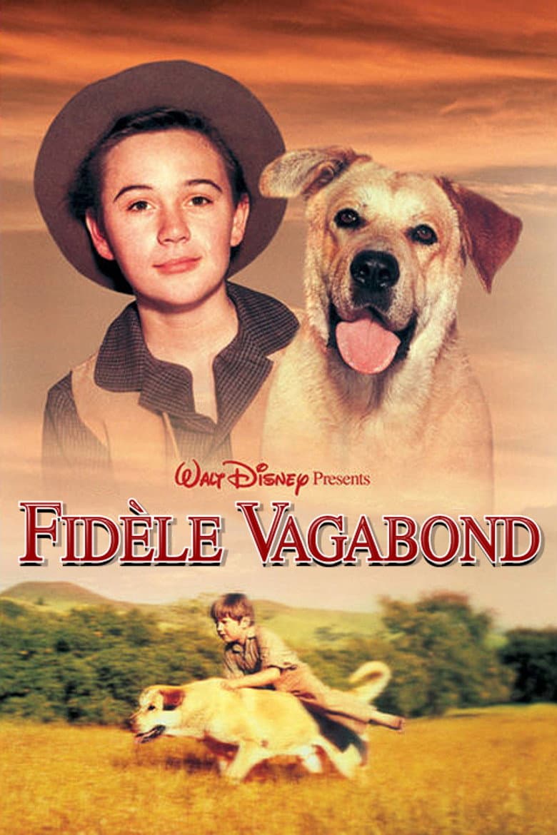 Affiche de Fidèle vagabond