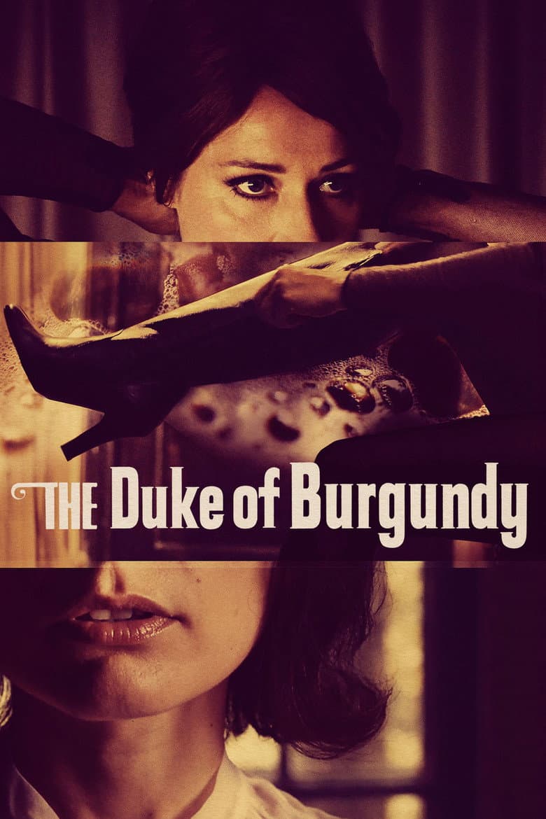 Affiche de The Duke of Burgundy