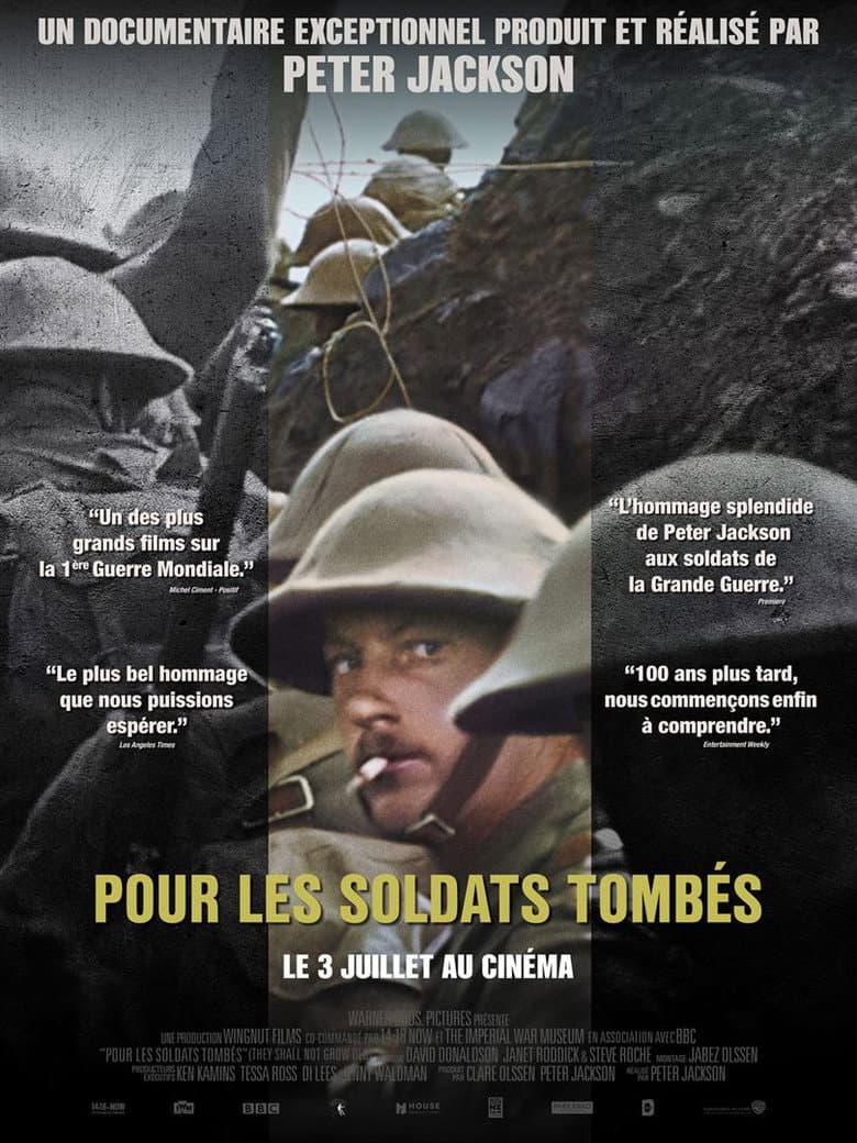 Affiche de Pour les soldats tombés