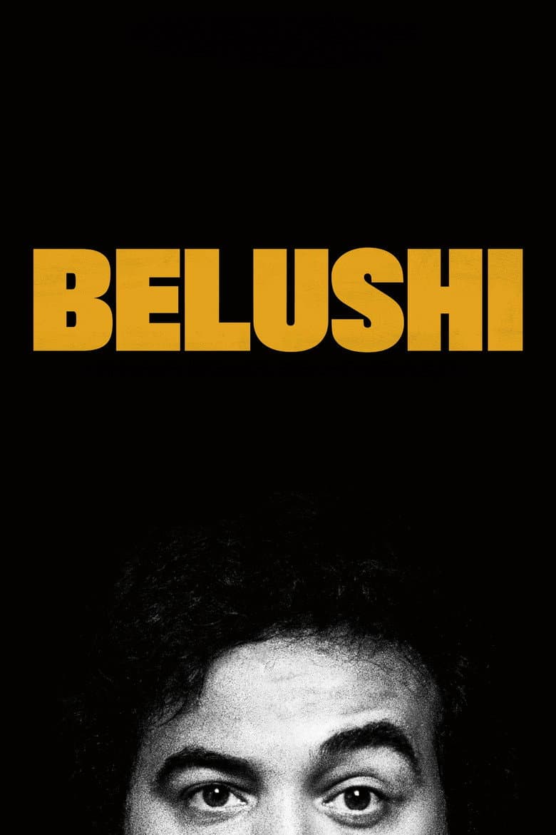 Affiche de Belushi