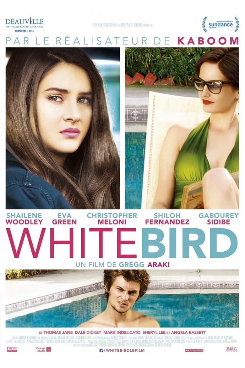 Affiche de White Bird