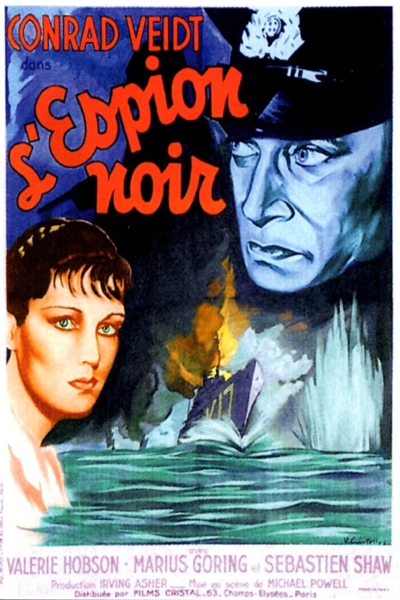 Affiche de L'Espion noir