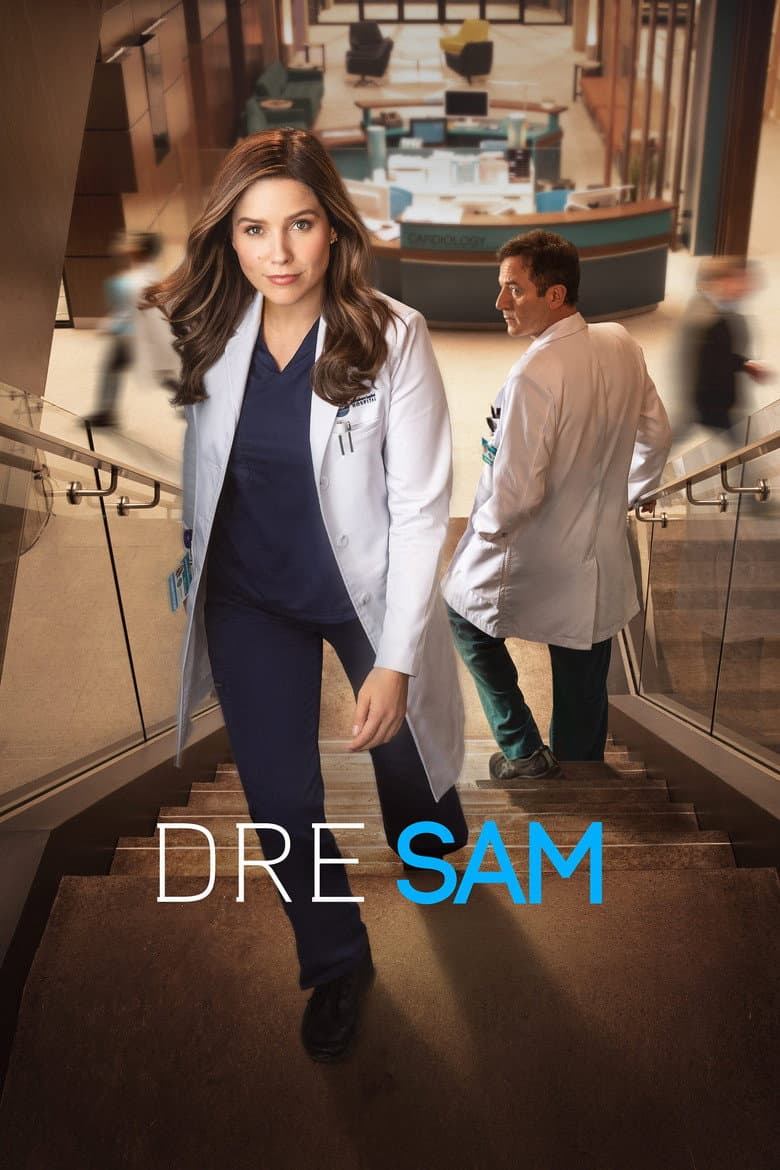 Affiche de Good Sam