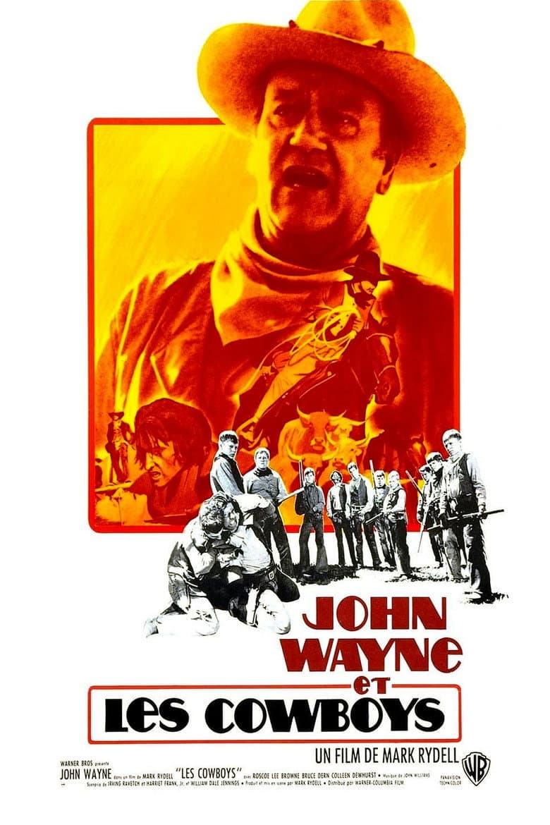 Affiche de Les cowboys