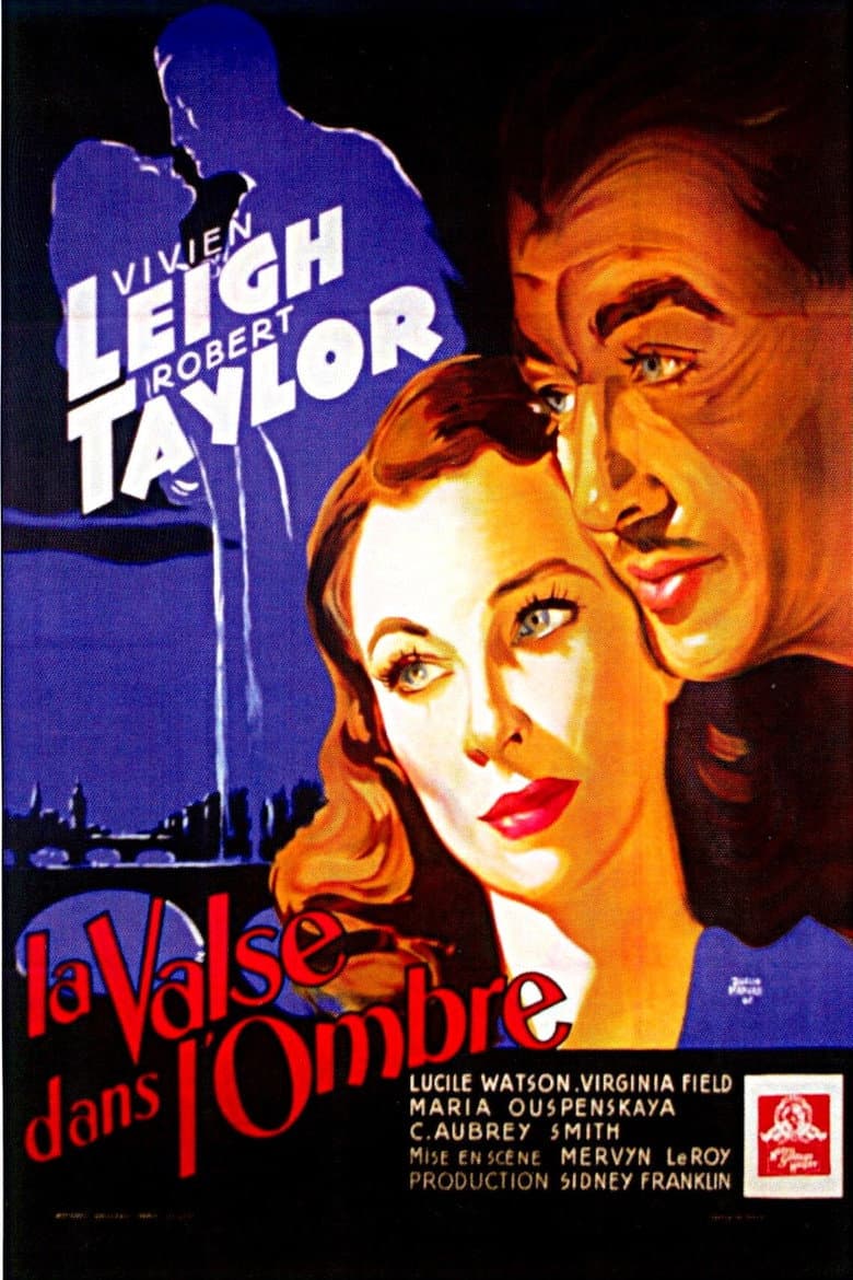 Affiche de La Valse dans l'ombre